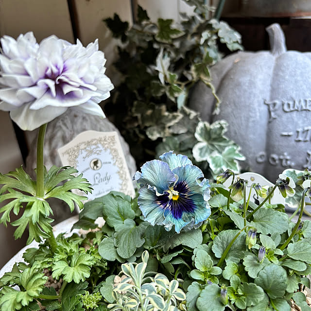 Kuniさんの実例写真