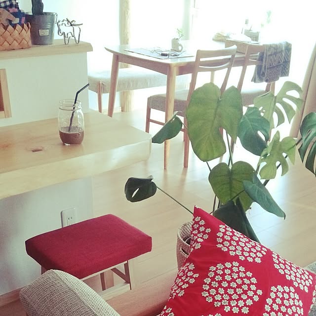maiさんの実例写真