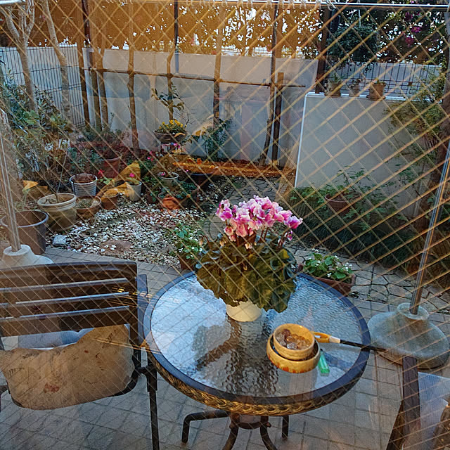 okyosan101さんの実例写真