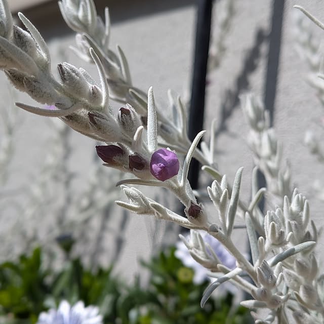 kumijiさんの部屋