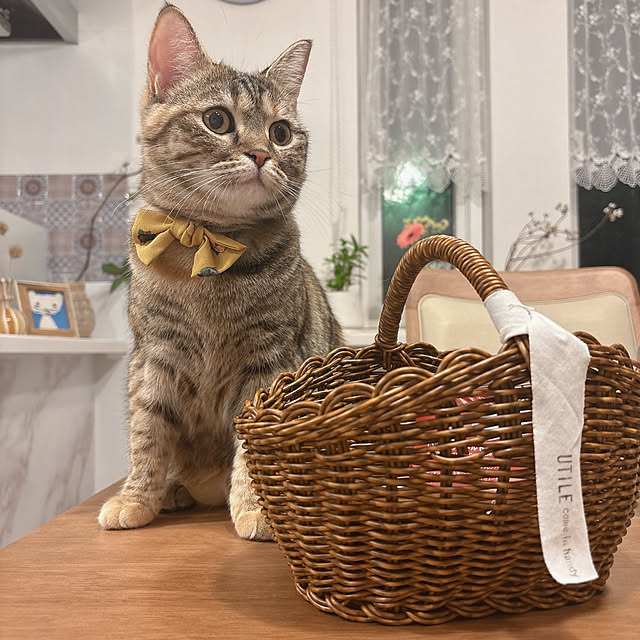 miyu39さんの部屋