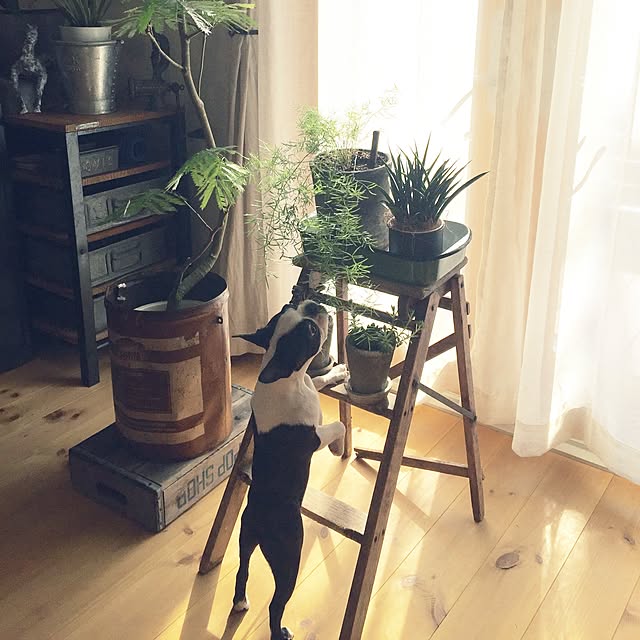 yumiさんの実例写真