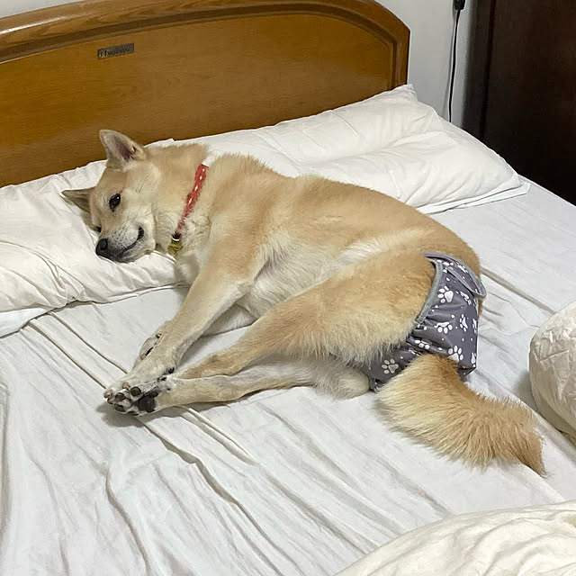 leonaさんの実例写真