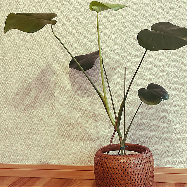mihorinさんの実例写真