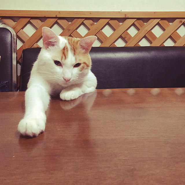 emiさんの実例写真