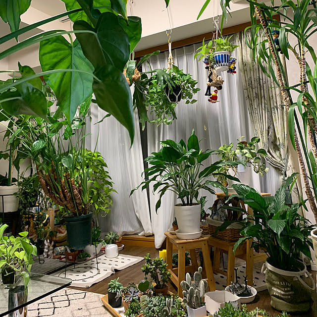 Aqettyさんの部屋
