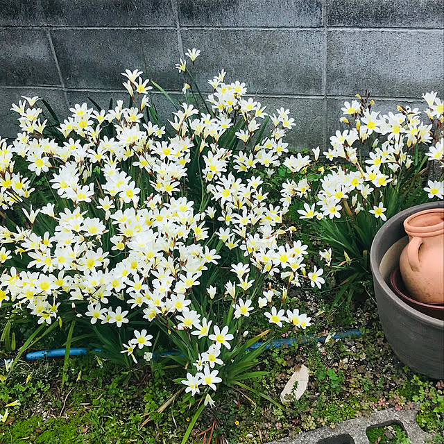 Marinさんの実例写真