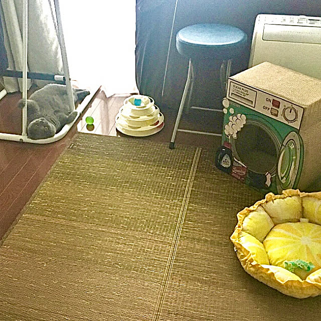 kittyさんの実例写真