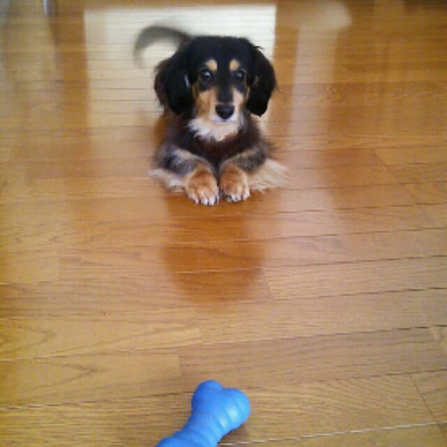 hiyo.pietさんの実例写真
