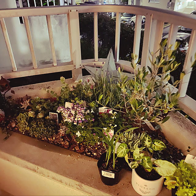 ナチュラル/雑貨/観葉植物/多肉植物/ガーデニング...などのインテリア実例 - 2021-04-05 12:42:07