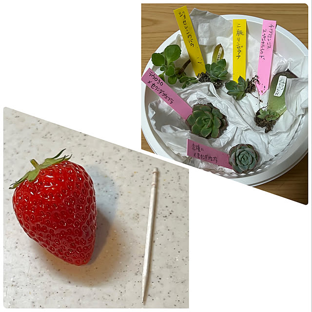 melmelさんの実例写真