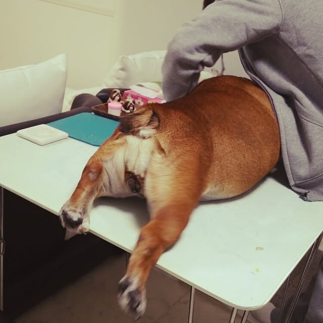 実例写真