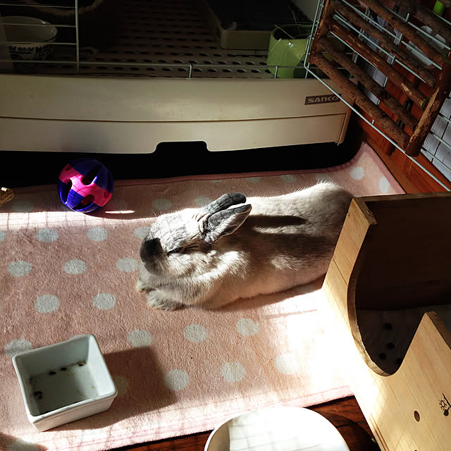 yokomokoさんの実例写真