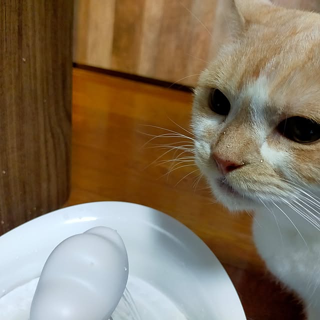 kobakissaさんの部屋