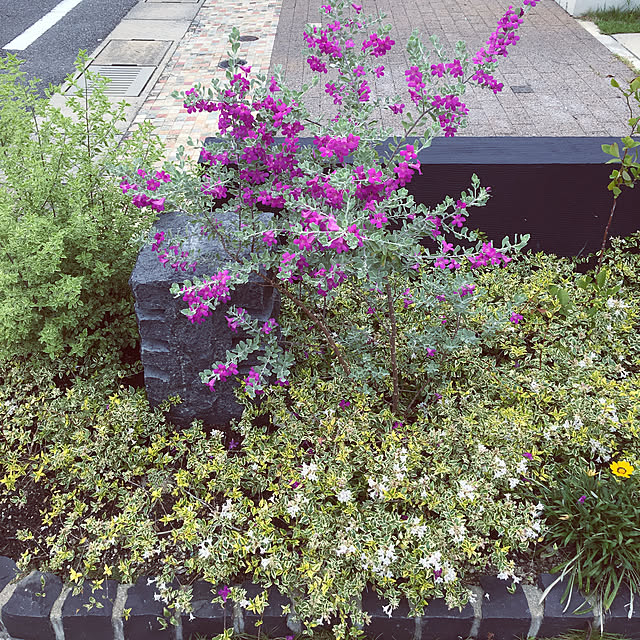 nayutauさんの実例写真