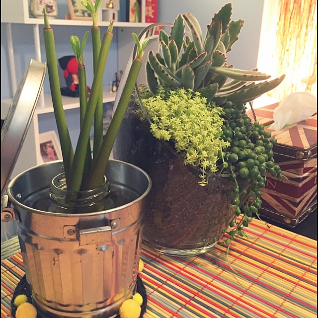 Aliceleeさんの実例写真