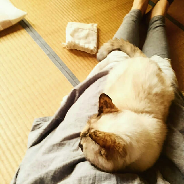 mayutan.さんの実例写真