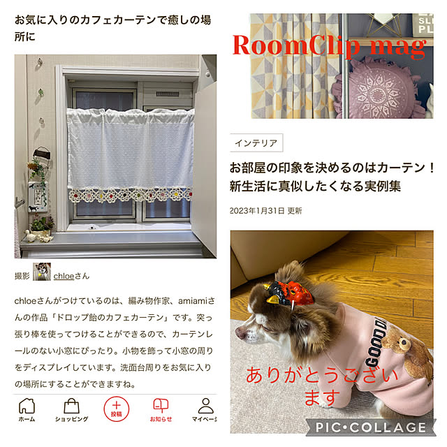 chIoeさんの実例写真