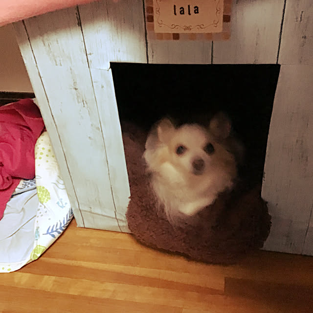 izumi.0327さんの実例写真
