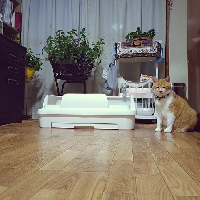 NOAHさんの実例写真