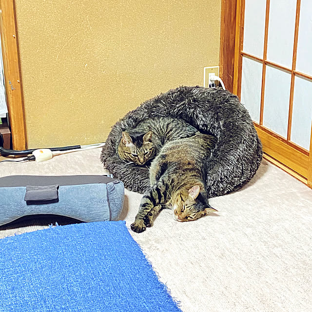 mさんの実例写真