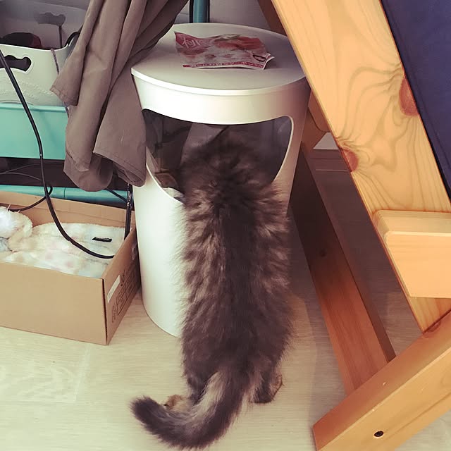 miruさんの実例写真