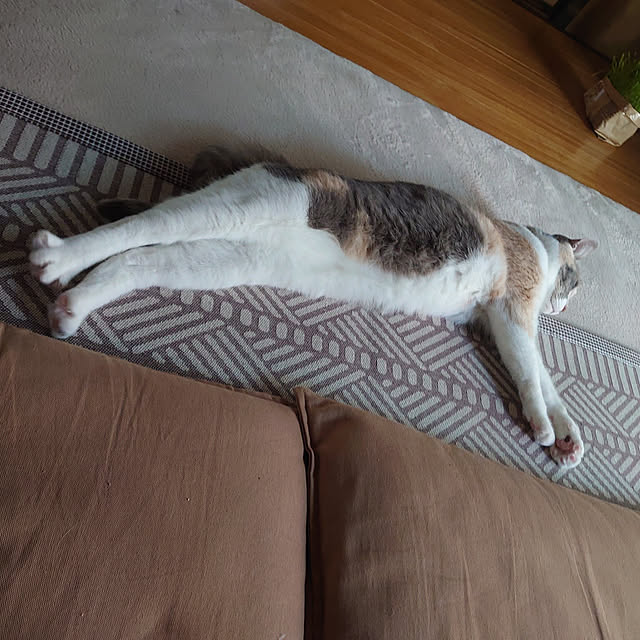 fukuさんの実例写真