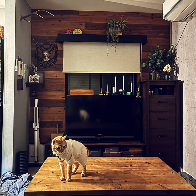 chicaさんの実例写真