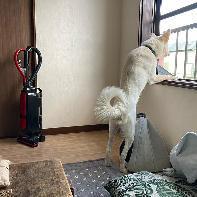 cheminさんの実例写真