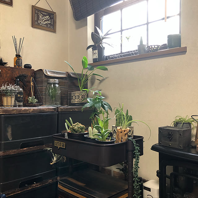 rintarotantan7さんの実例写真