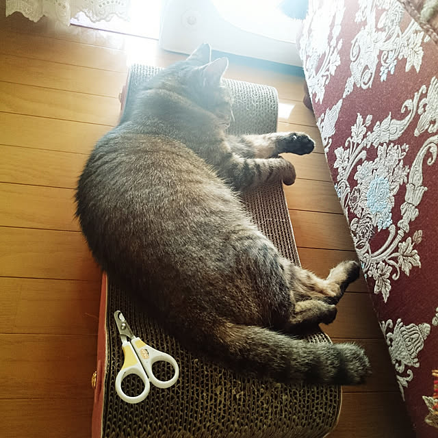 lilyさんの実例写真