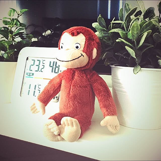 rikeibunkeiyomeさんの実例写真