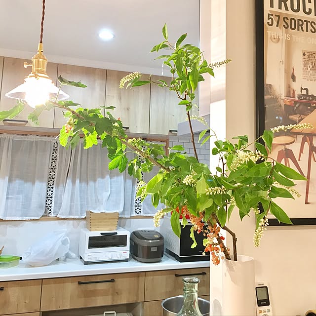 Chiharuさんの実例写真