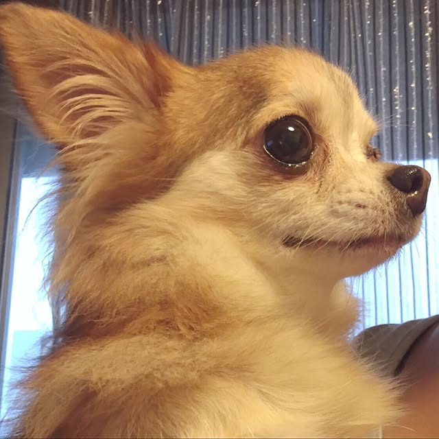 Yuiriさんの実例写真