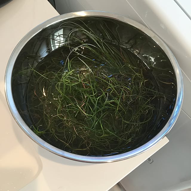 sakuayuさんの実例写真