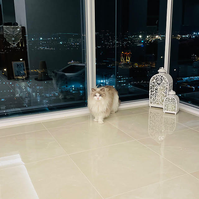 CatSlaveさんの実例写真