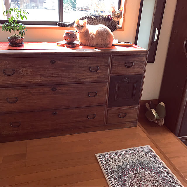 mikan161さんの実例写真