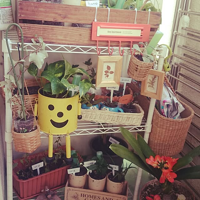 sさんの実例写真