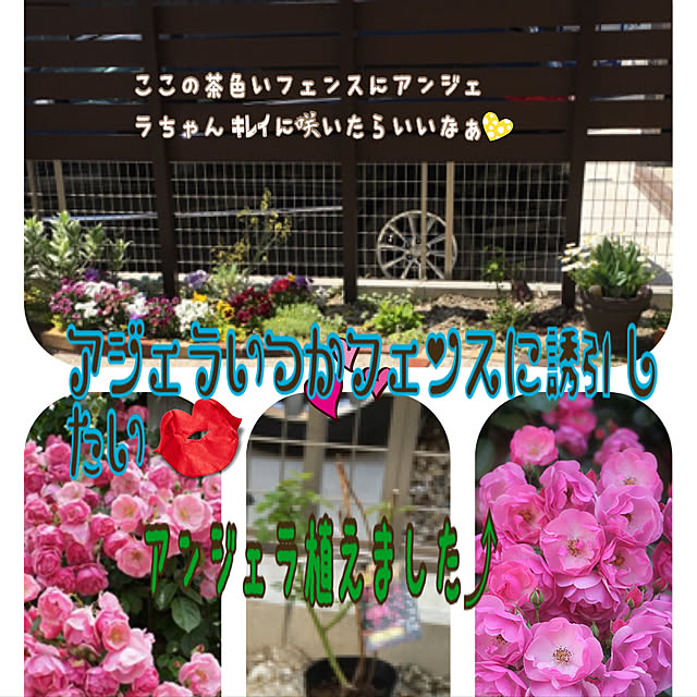 hinamamaさんの実例写真