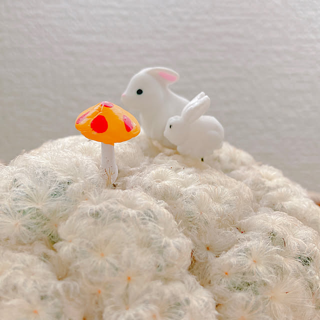 Hanakaさんの部屋