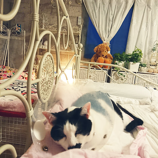 asuminさんの実例写真