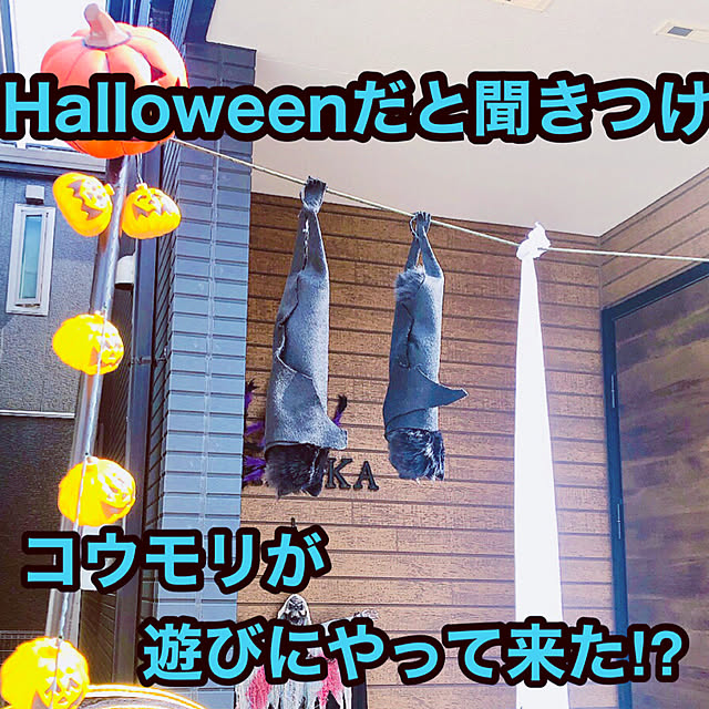 Has.RockUkeyさんの実例写真