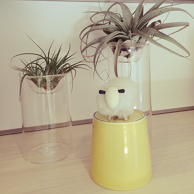 キッチン/観葉植物/北欧のインテリア実例 - 2015-04-22 08:32:52