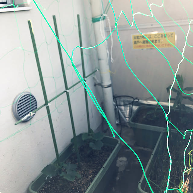 hanachanさんの部屋