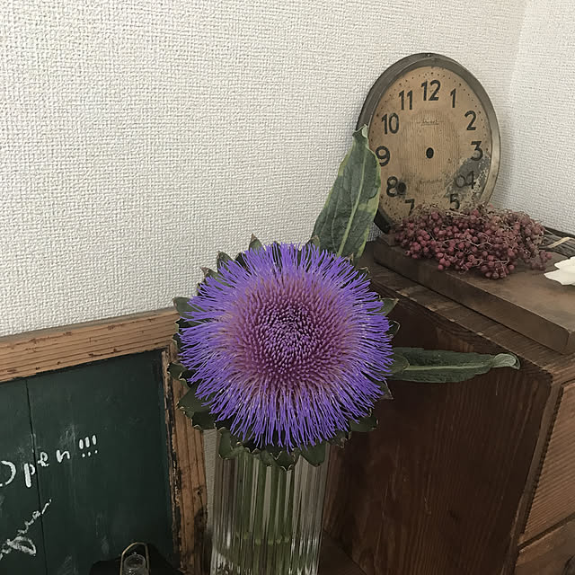 ikukoさんの実例写真