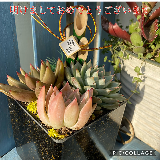 coconyantaさんの実例写真
