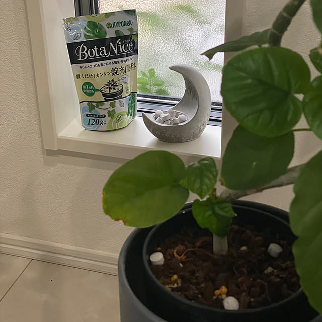 Lime..さんの部屋
