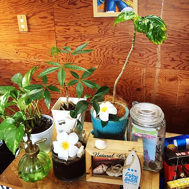 sayakaさんの実例写真