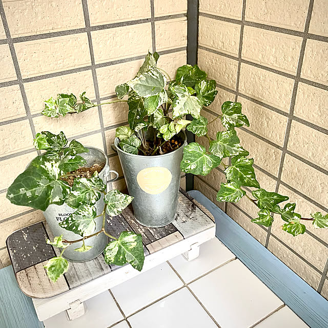 YuuKoさんの実例写真