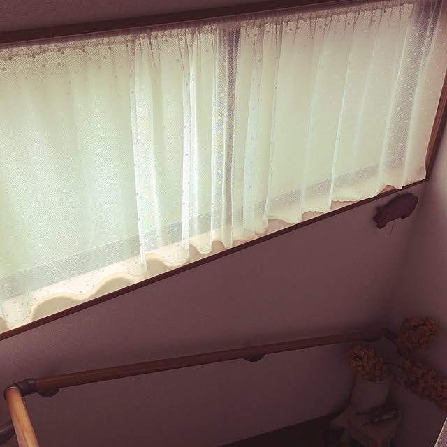 macoさんの実例写真